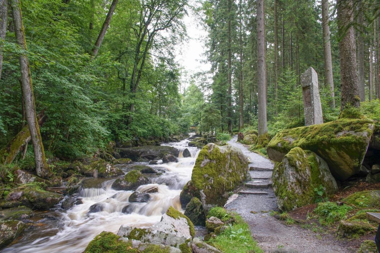 Ferienhaus Nordic Harmony Waldkirchen Εξωτερικό φωτογραφία
